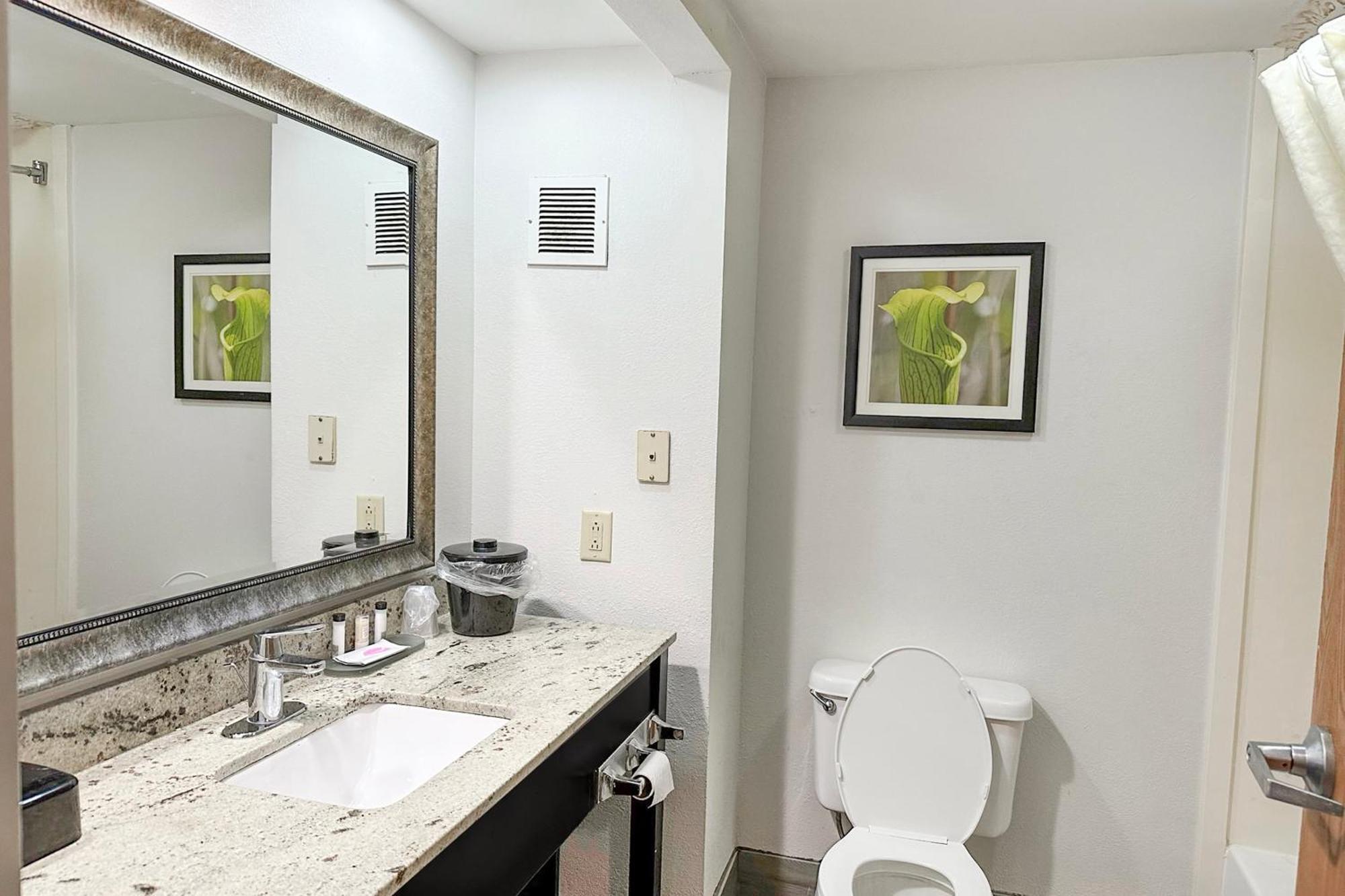 Hotel Oyo Townhouse - Ridgeland Jackson